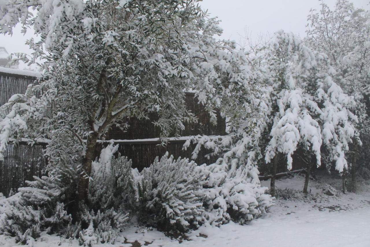 Villa פסגת מתת Pisgat Mattat Esterno foto