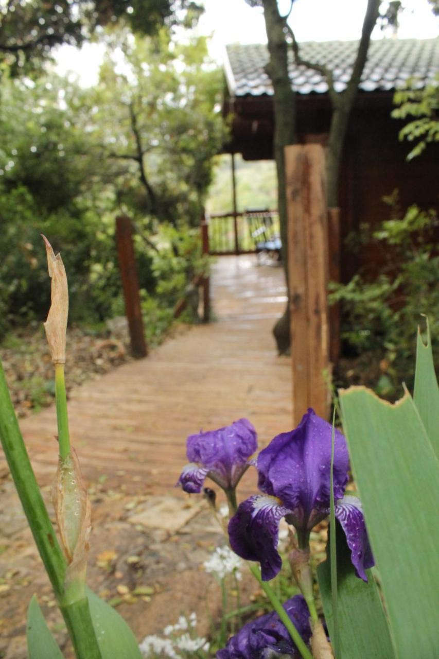 Villa פסגת מתת Pisgat Mattat Esterno foto